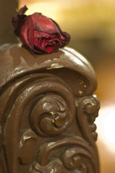 rose